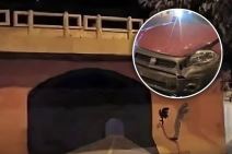 Saobraćajna nesreća zbog crteža iz Ptice trkačice