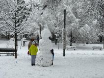 Sneg na Tašmajdanu (9).jpg