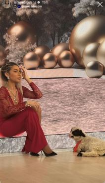 Jovana Jeremić uvela jagnje u studio (5).jpg