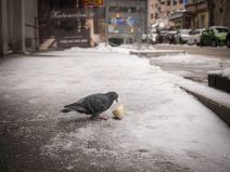 Zaledjeni Beograd (6).jpg