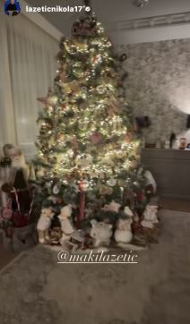 Sonja Lazetić kuća na Avali za praznike