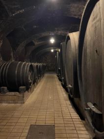 Podrum Vinag (4).jpg