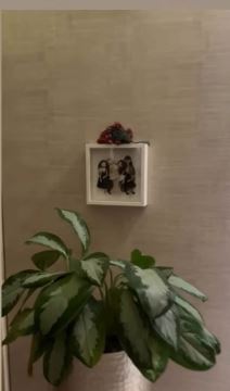 Stan iz kojeg iseljavaju Čedu Jovanovića i Acu Kosa (3).jpg