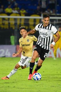 Roque Santa Cruz (2).jpg