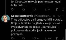 Ceca Ražnatović se svađa sa hejterima na Tviteru (3).jpg