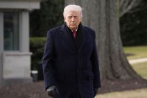 Donald Tramp (1).jpg