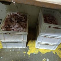 Proizvodnja i stavljanje u promet škodljivih proizvoda