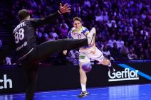 Austrija - Slovenija rukomet (3).jpg