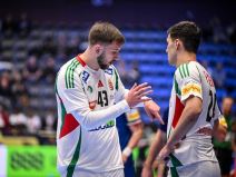 Zoran Ilić reprezentativac Mađarske objašnjava saigraču na utakmici