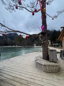 Krajnjska Gora (1).jpeg