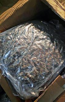 Zaplena droge u Surčinu (2).jpg