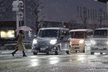 Sneg u Japanu (2).jpg