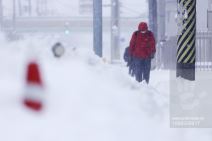 Sneg u Japanu (3).jpg