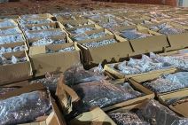 velika akcija policije u Kruševcu (3).jpg