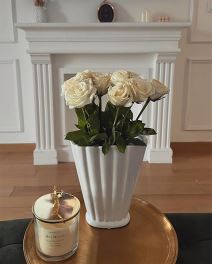 Marija Egelja stan (2).jpg