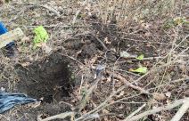 Droga iz Pančeva (3).jpg