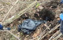 Droga iz Pančeva (4).jpg