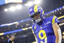 Metju Staford (5).jpg