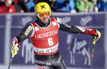 Ivica Kostelić (4).jpg