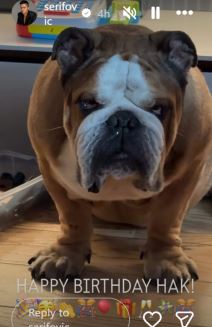 Marija Šerifović pas 2.jpg