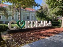 Sokobanja izletište