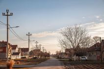 profimedia-1021344847 copy.jpg