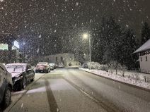 Sneg na Zlatiboru (1).jpg