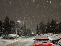 Sneg na Zlatiboru (2).jpg