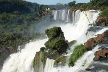 Igvasu vodopad, ptice