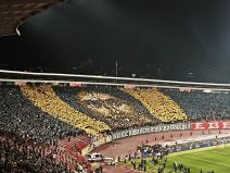 Koreografija navijača Zvezde (2).jpg