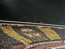 Koreografija navijača Zvezde (4).jpg