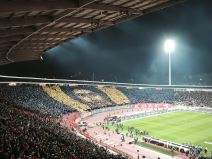 Koreografija navijača Zvezde (5).jpg