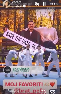 Ceca Ražnatović PZE Brat Pelin 4.jpg