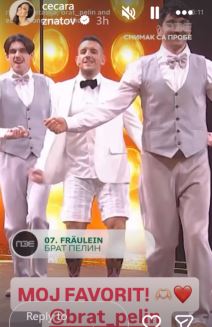 Ceca Ražnatović PZE Brat Pelin 5.jpg