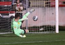 Matija Gočmanac golman Vojvodine