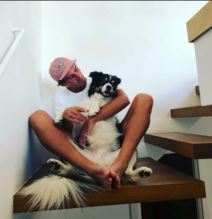 Kuća Marko Đoković