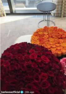 Jelena Karleuša ruže hotelska soba.jpg