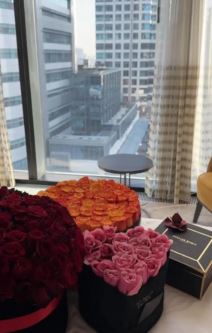 Političar zaprosio Jelenu Karleušu?