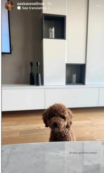 Đorđe Đoković stan.jpg