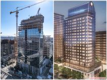 collage-1773063378619 copy.jpg