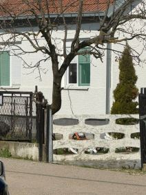 venci u dvorištu kuće Darka Lazića (1).jpg