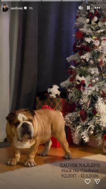 Marija Šerifović pas Hak preminuo (2).jpg