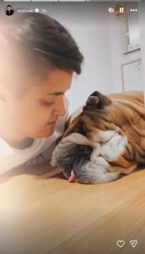 Marija Šerifović pas Hak preminuo (4).jpg