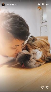 Marija Šerifović pas Hak preminuo (5).jpg