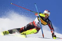 Ivica Kostelić (4).jpg