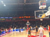 KK Crvena zvezda Fenerbahče Evroliga