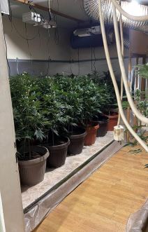 Neovlašćena proizvodnja i stavljanje u promet opojnih droga (5).jpg