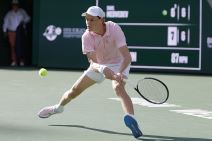 Medvedev - Siner na Indijan Velsu (4).jpg