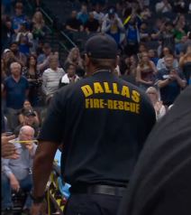 Mudi povreda (4).png