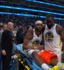 Mudi povreda (1).png